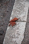 DSC_3354.JPG