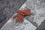 DSC_3357.JPG