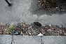 DSC_3390.JPG