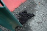 DSC_3410.JPG