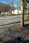 DSC_3447.JPG