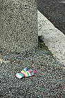 DSC_3527.JPG