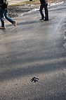 DSC_3641.JPG