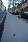 DSC_3669.JPG