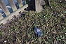 DSC_3707.JPG