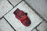 DSC_3716.JPG