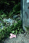 DSC_4091.JPG