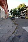 DSC_4363.JPG