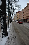 DSC_6903hv1.JPG