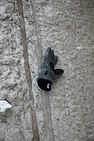 DSC_6904hv2.JPG
