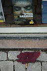 DSC_7074.JPG