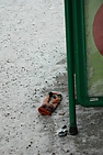 DSC_7090.JPG