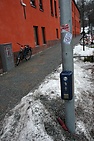 DSC_7177.JPG