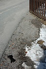 DSC_7242.JPG