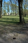 DSC_7802.JPG