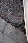 h4geijersg0050419.jpg