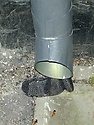 hämtadodensg1.jpg