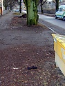 hämtadsandlåda1.jpg