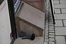 Hvaksalag050310c.jpg