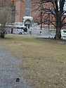 vante2riddartorg1.jpg