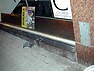 vantecelsiusbokhandel3.jpg