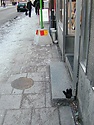 vanteevajakobsson1.jpg